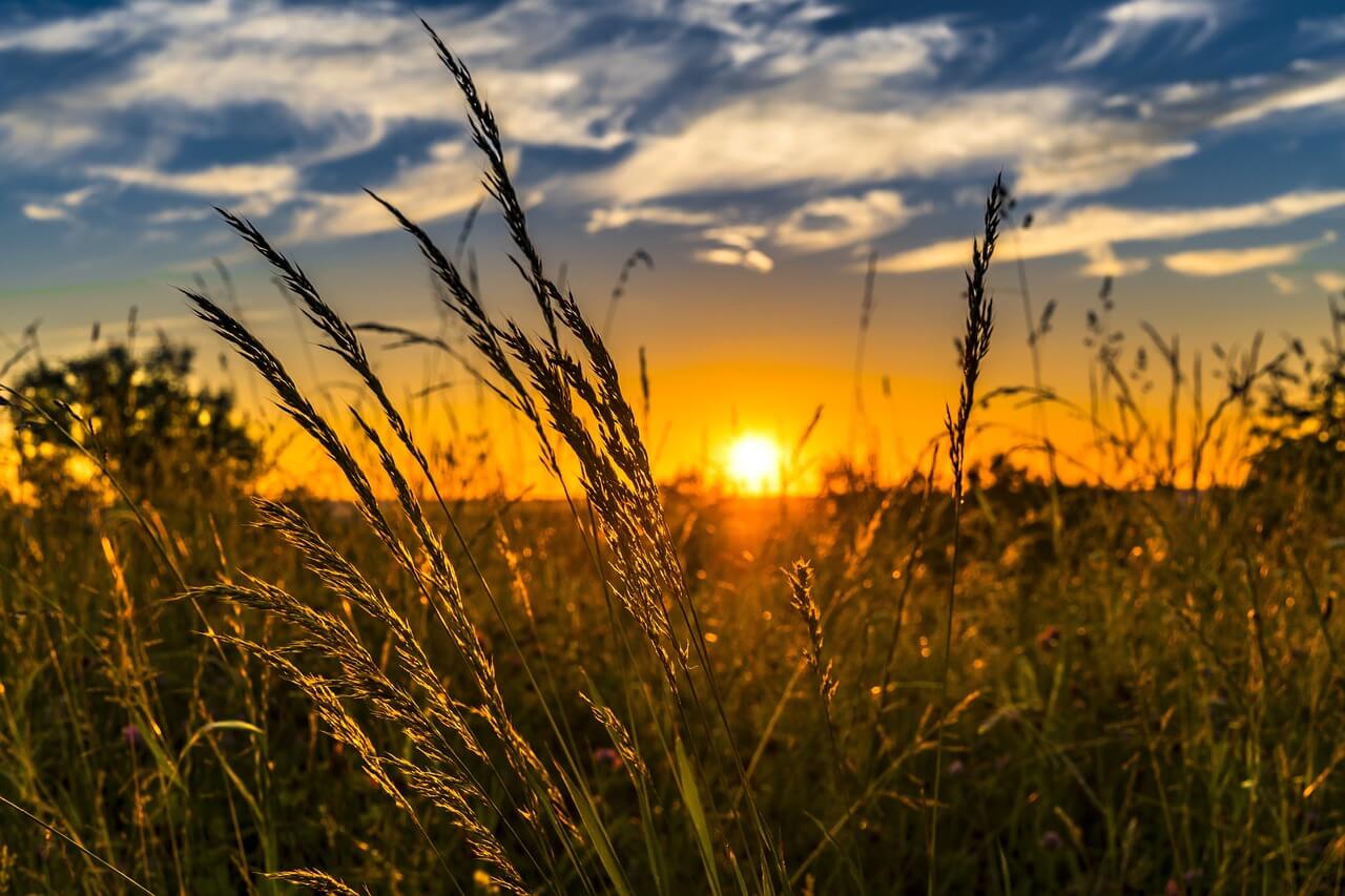 夕焼け