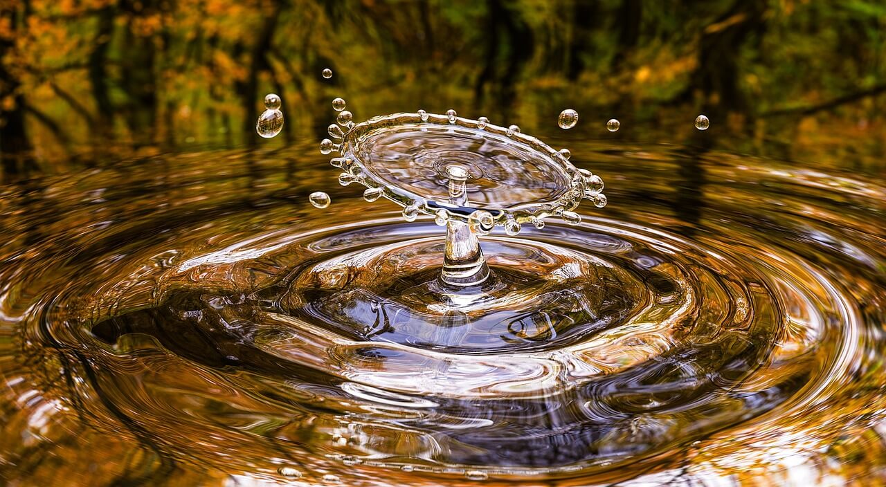 池の水